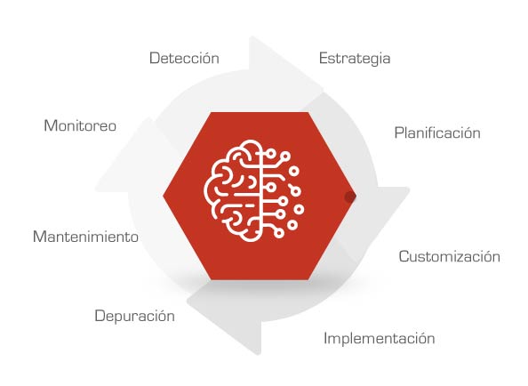 Gráfico Servicios 100% Customizables en Seguridad Informática